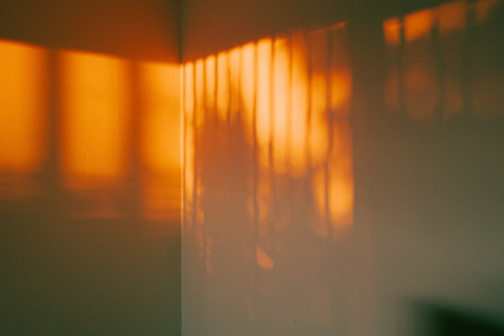 Photo by Metin Ozer on Unsplash